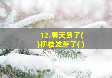 12.春天到了( )柳枝发芽了( )